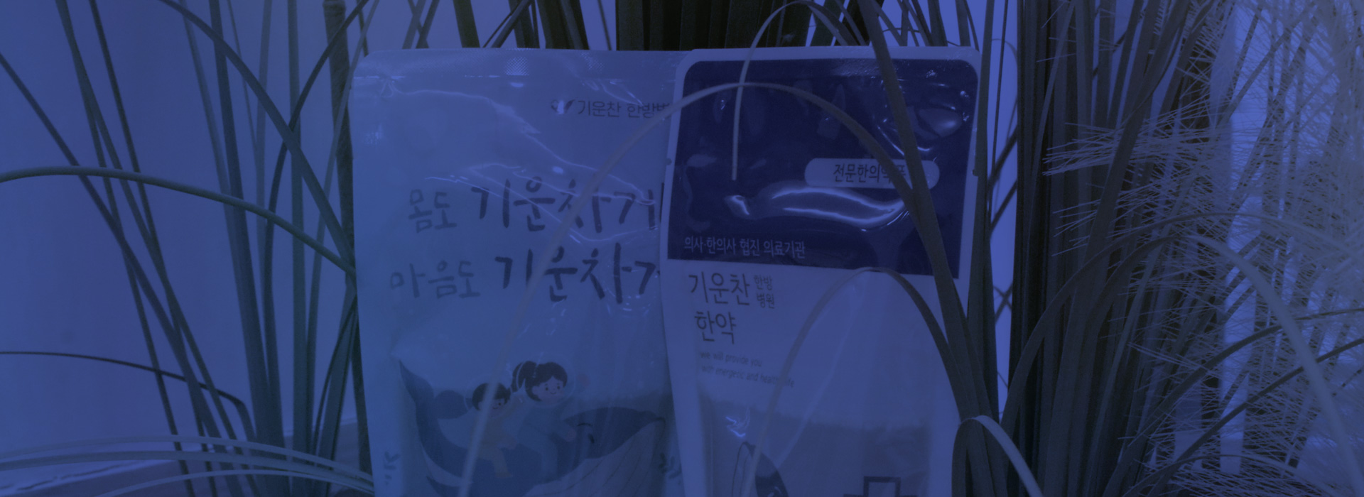 키비주얼 이미지