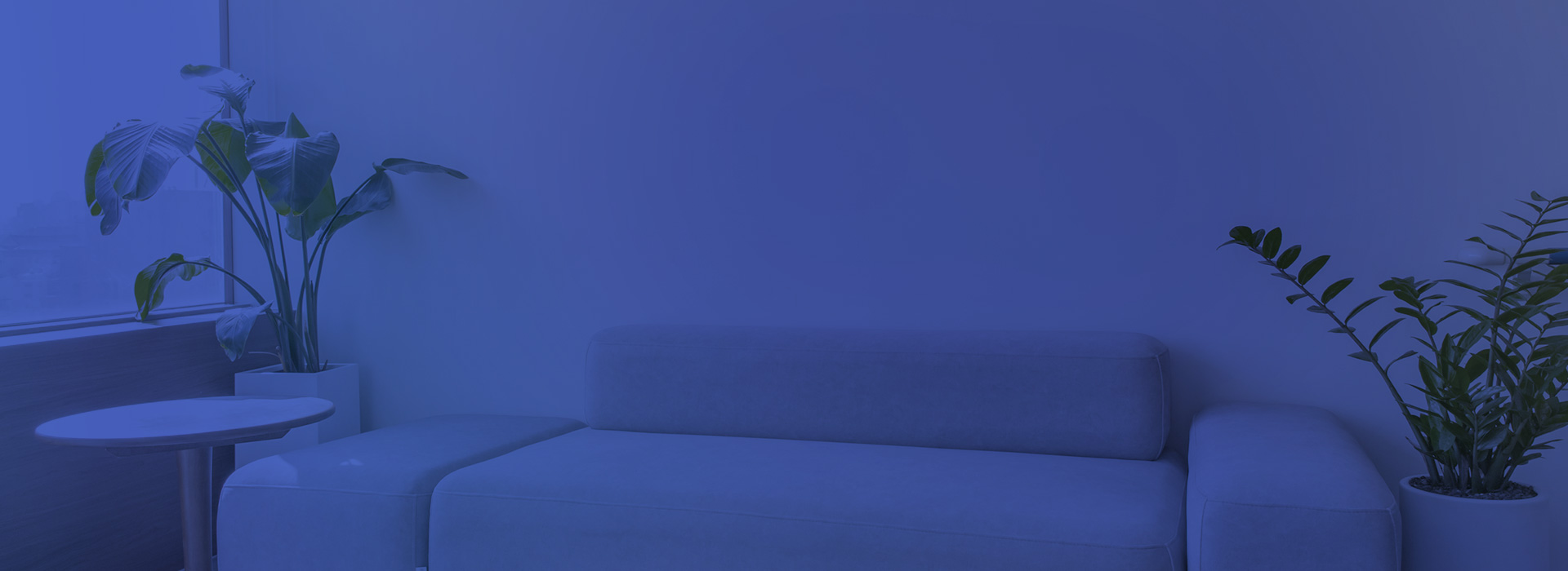 키비주얼 이미지