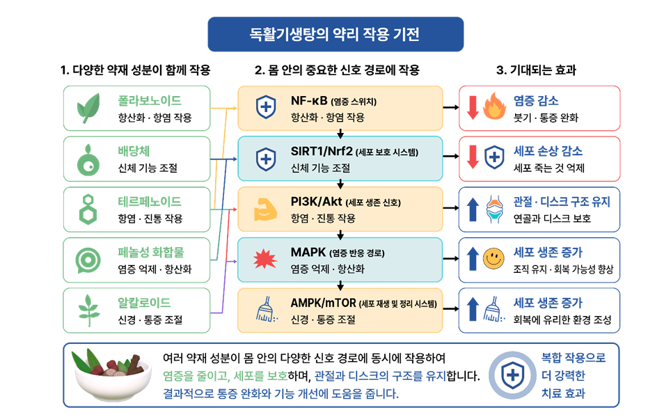 The diagram illustrates a biochemical pathway where various substances, including phospholipid derivatives and pharmaceuticals like etoposide and TNF, interact to reduce inflammation, enhance cellular survival, and improve joint structure, resulting in stronger anti-inflammatory and therapeutic effects.

AI 생성 콘텐츠는 정확하지 않을 수 있습니다.